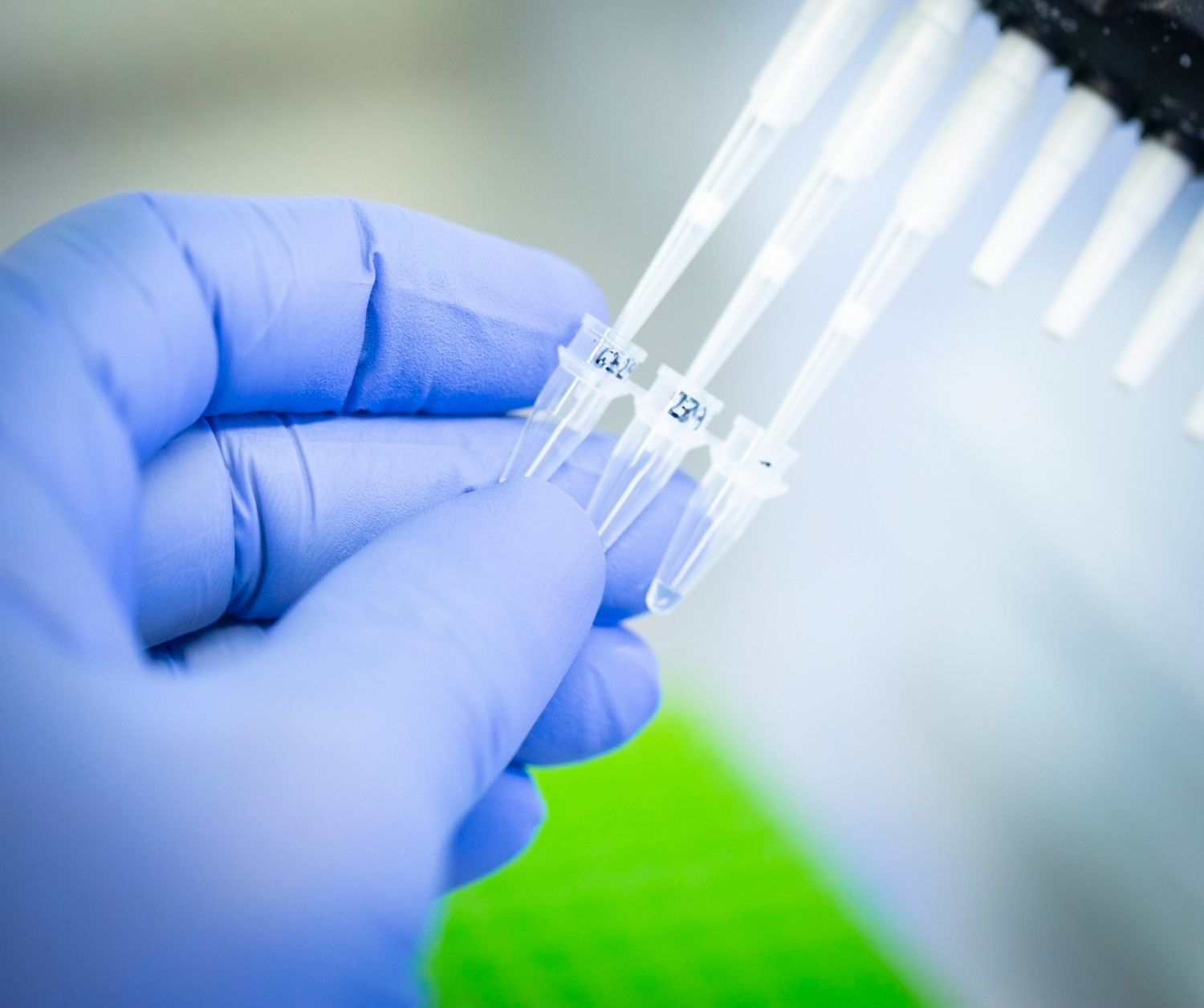 lab testing