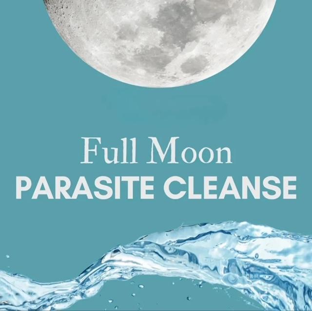 full-moon-parasite-cleanse-branding full-moon-parasite-cleanse-branding