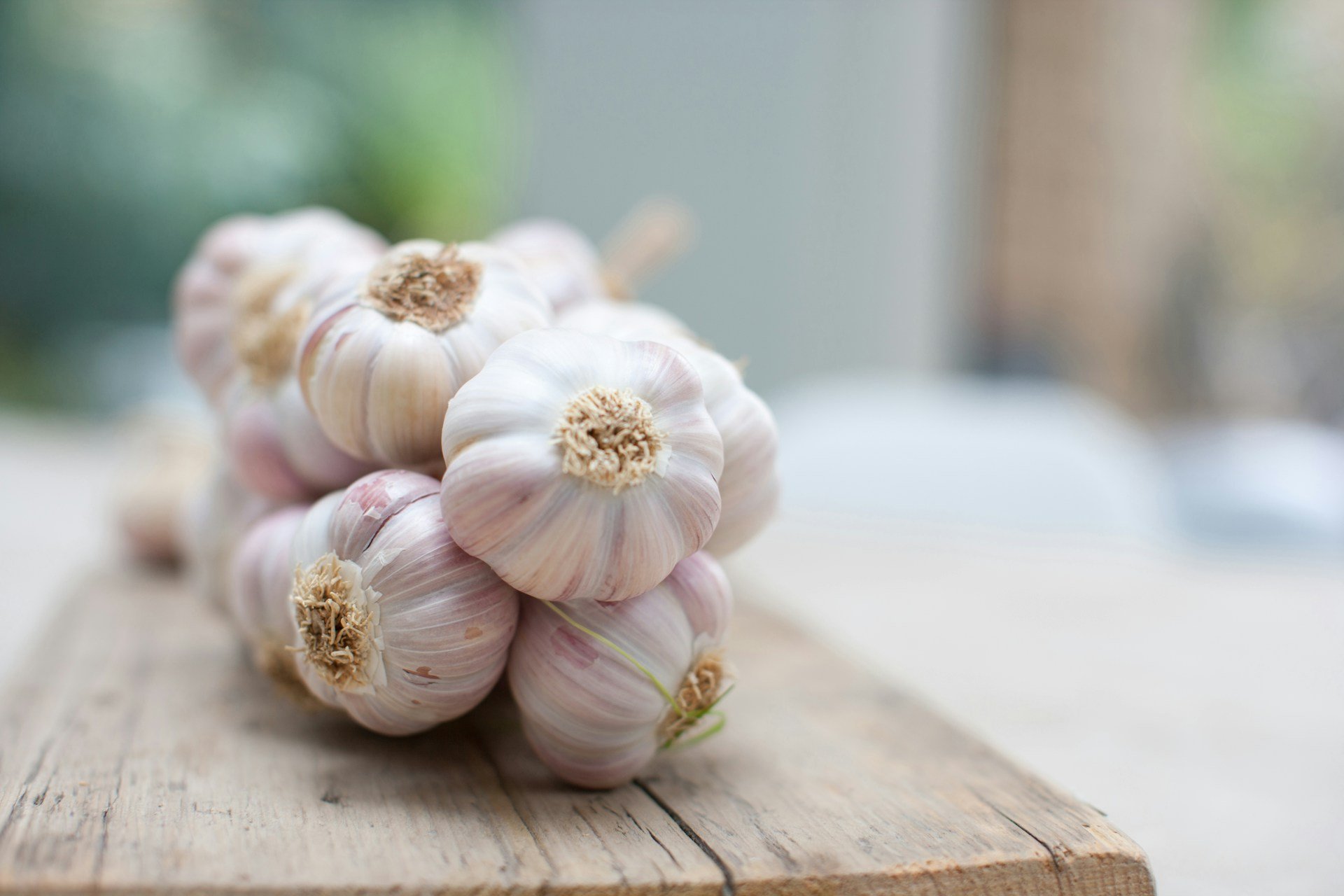 Garlic