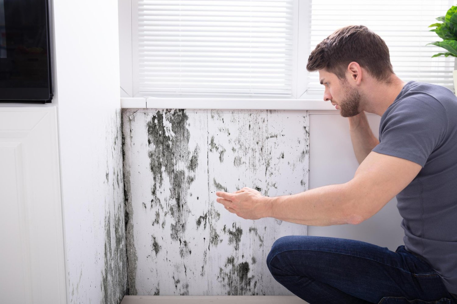 mold exposure