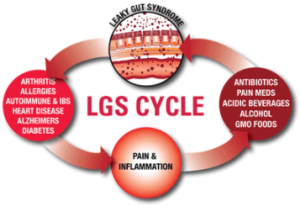 leaky gut cycle