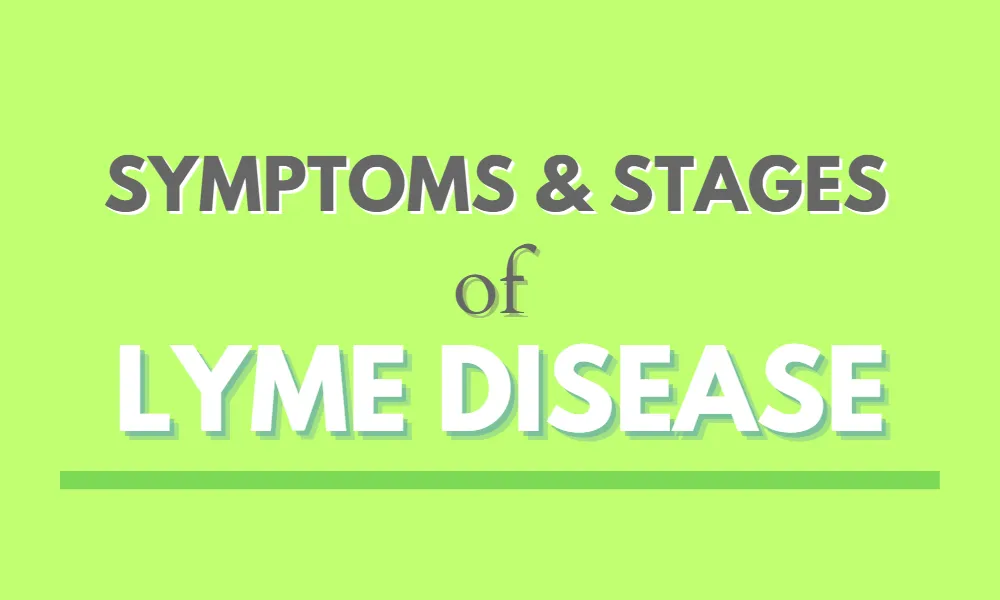 symptoms and stages of lyme disease